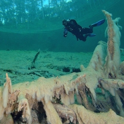 Tauchausfahrt Fernsteinsee & Samarangersee
