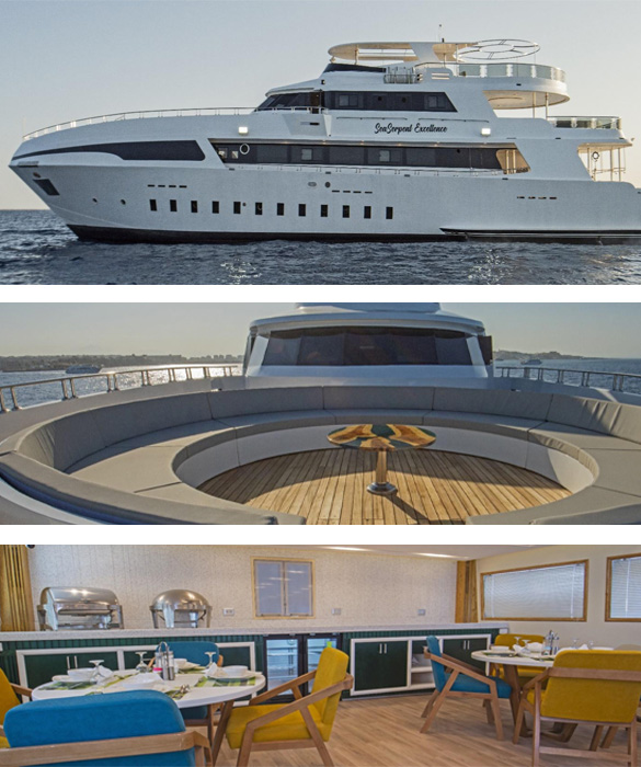 7 Nächte Tauchsafari Ägypten auf der M/Y Golden Dolphin II23.10. - 30.10.2025