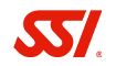 SSI