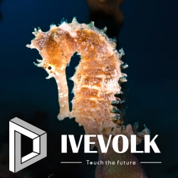 Divevolk Fotografie Kurs / 08.06. und 24.06.